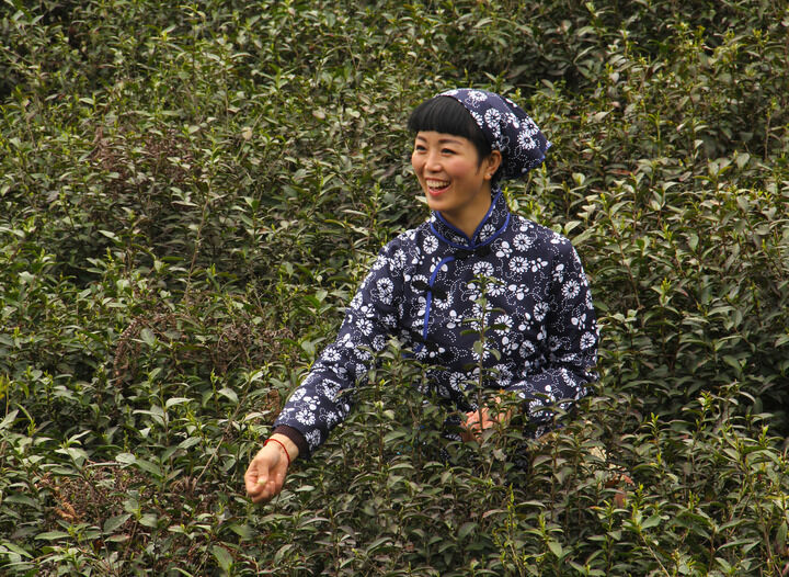 情欲摄像头